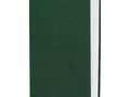Ежедневник Basis, датированный, зеленый